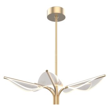 Floriana 5 Leaf LED Chandelier Small - Natural Brass