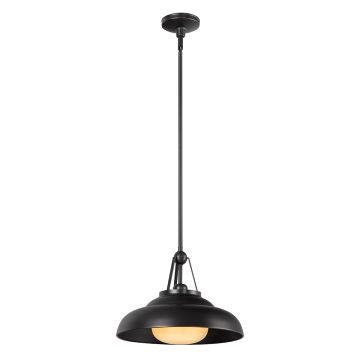 Palmetto 1 lt Pendant - Urban Bronze